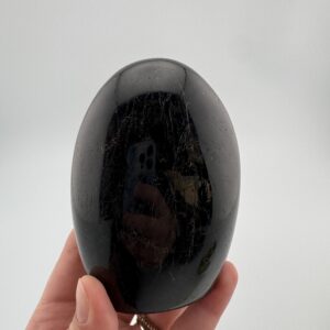 Black Tourmaline #41