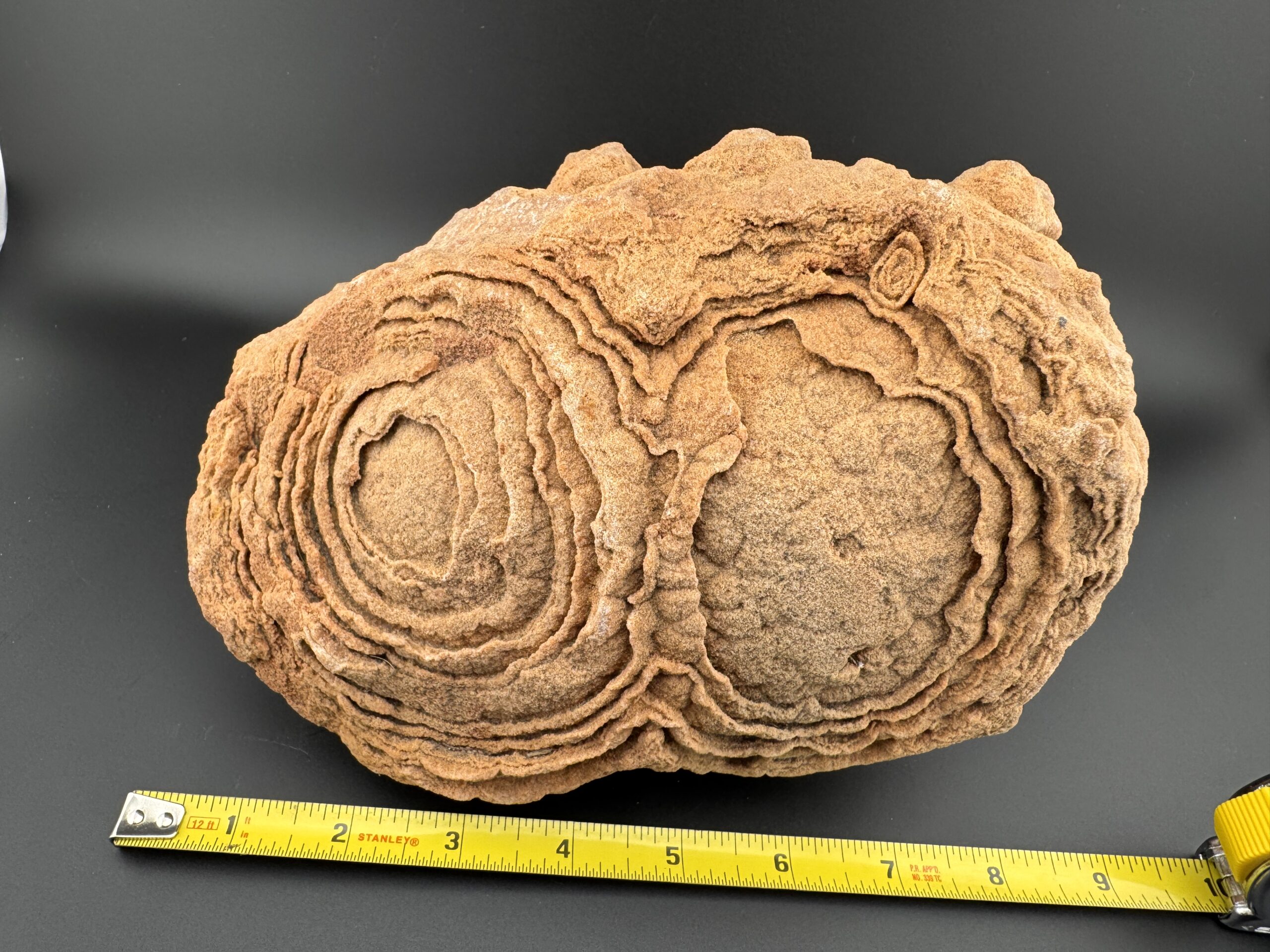 Double Stromatolite #61 - Image 3