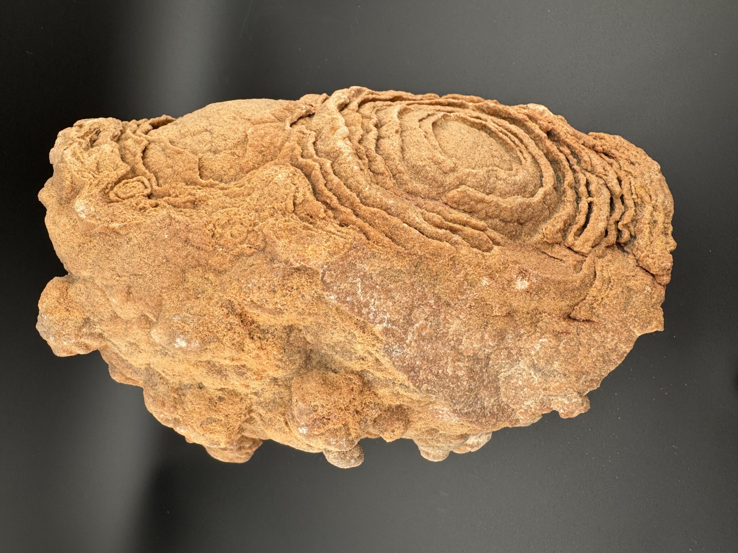 Double Stromatolite #61 - Image 7