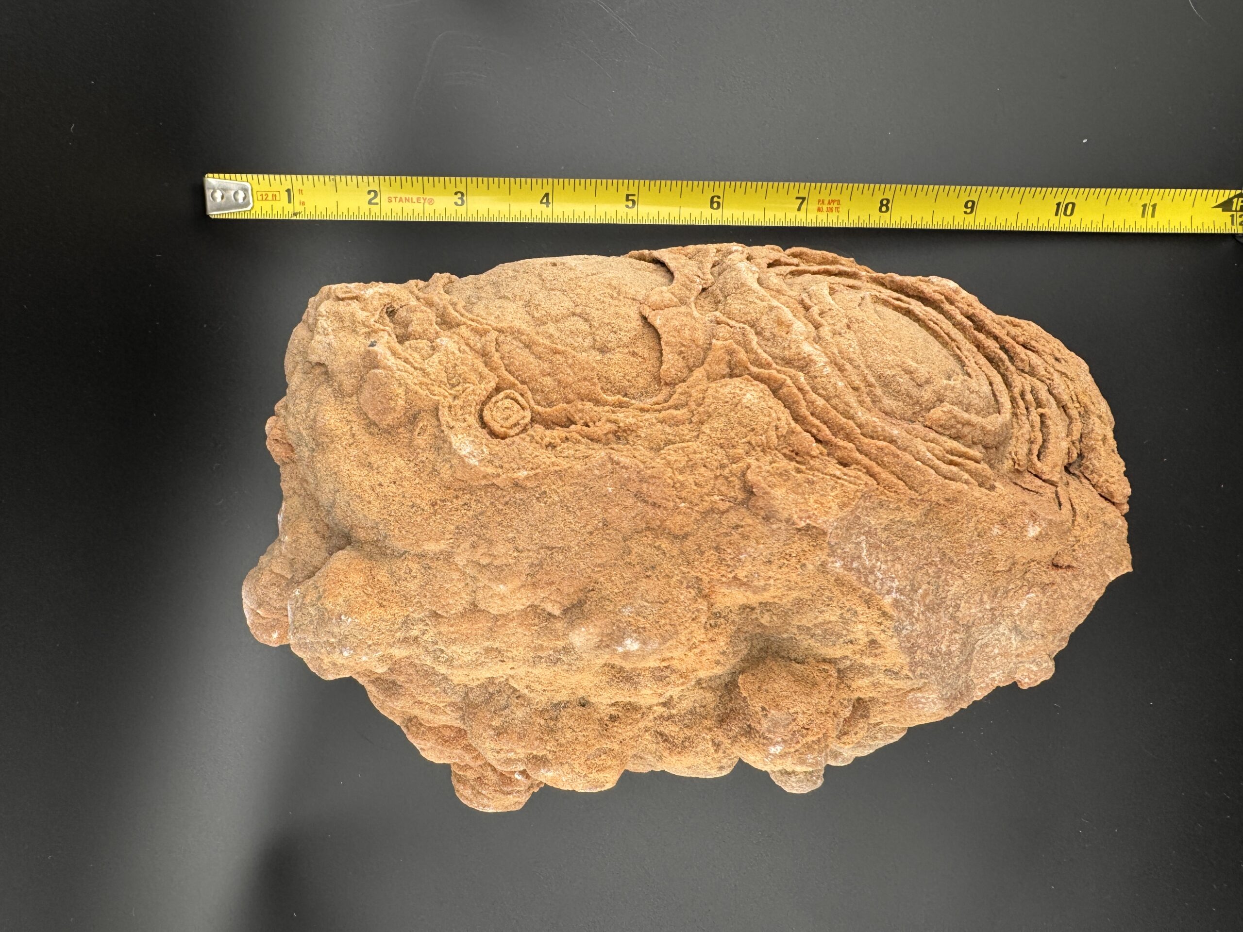 Double Stromatolite #61 - Image 8