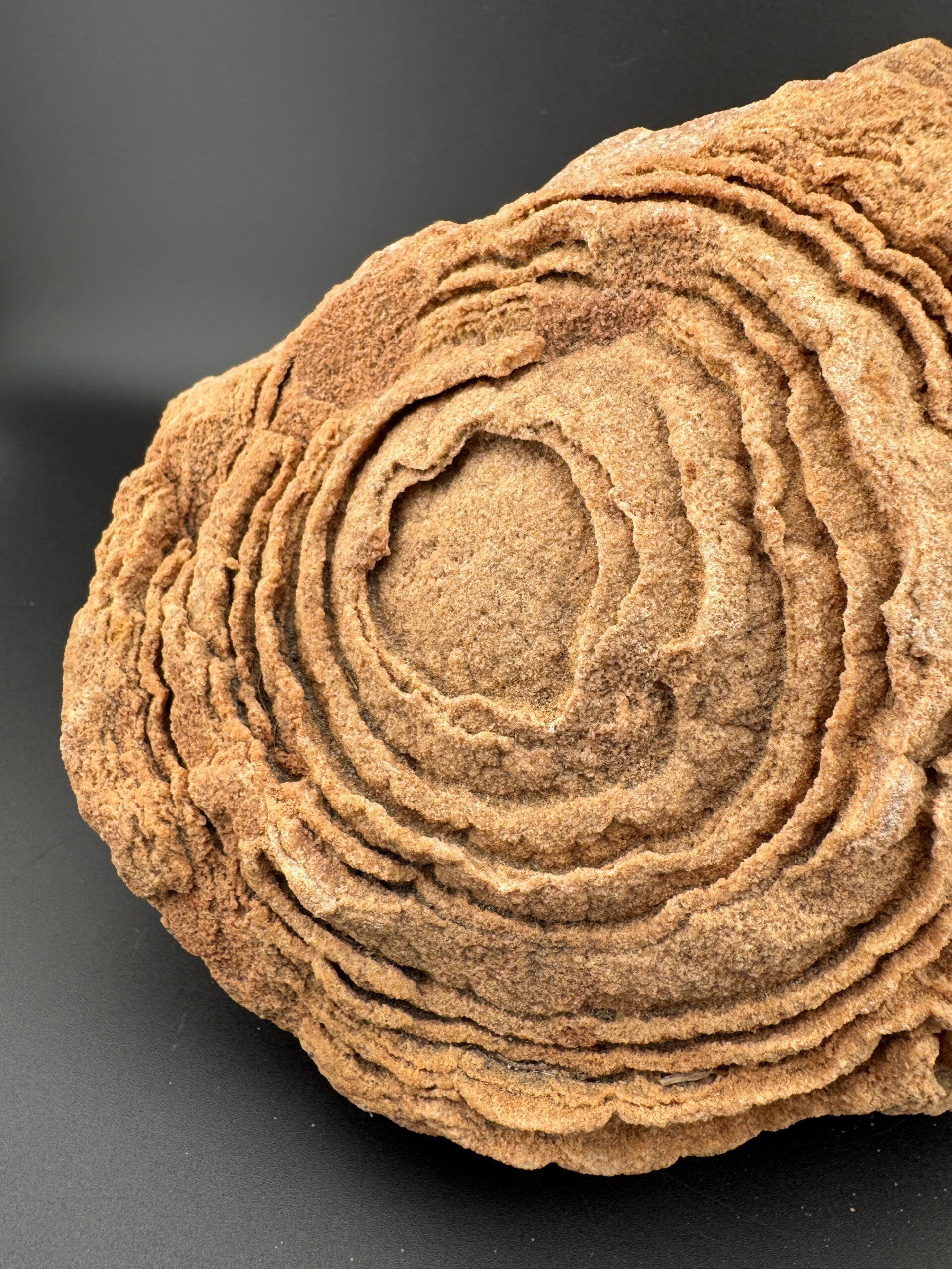 Double Stromatolite #61 - Image 9