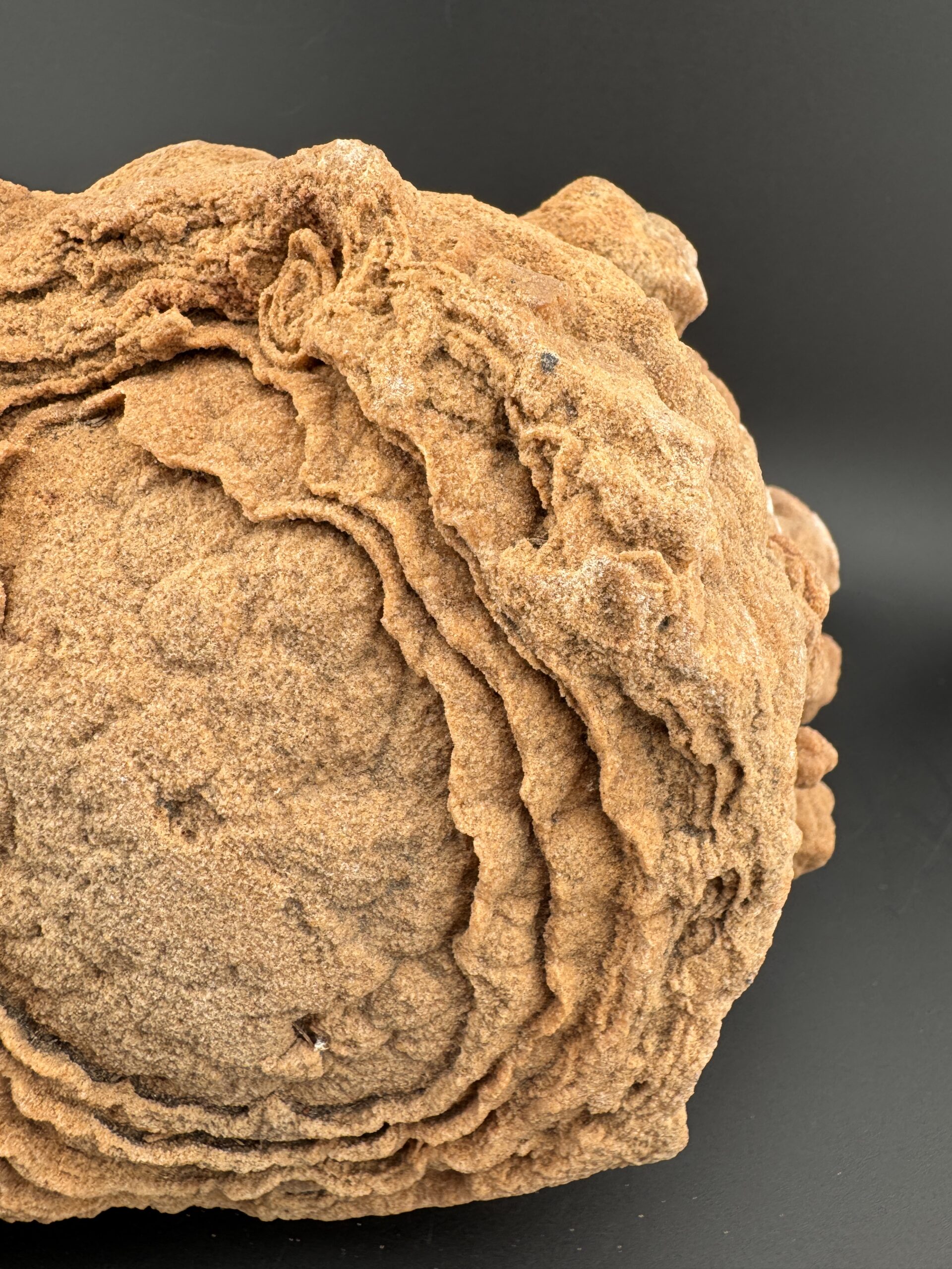 Double Stromatolite #61 - Image 10