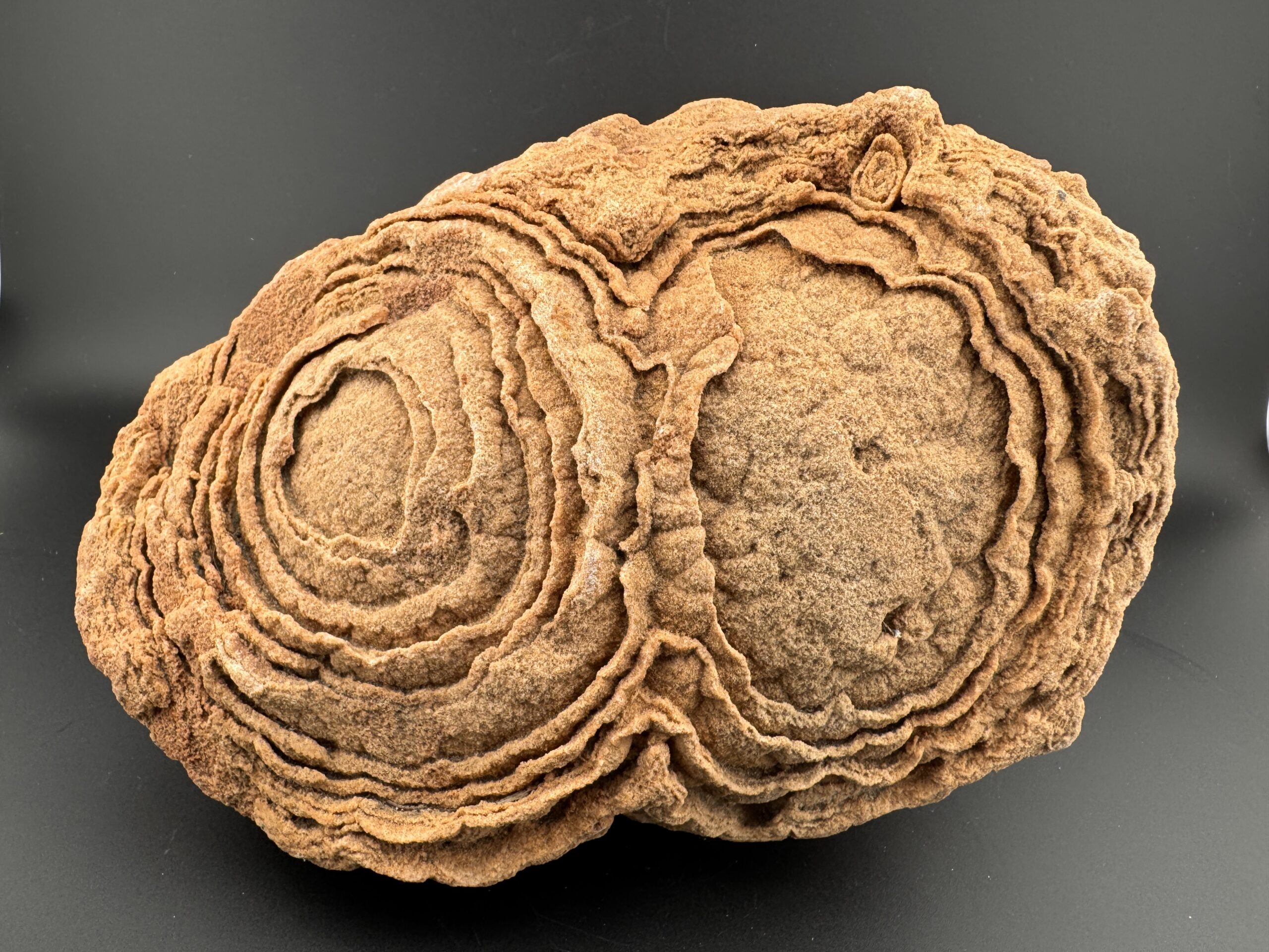 Double Stromatolite #61